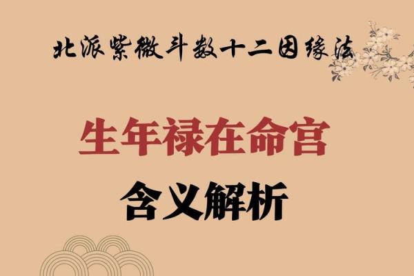 出生的命运与个性特征全面解读