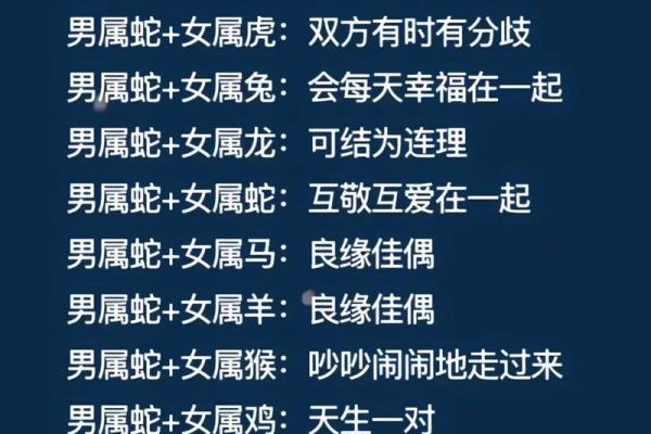生肖婚配：属鼠男与属蛇女是否天生一对