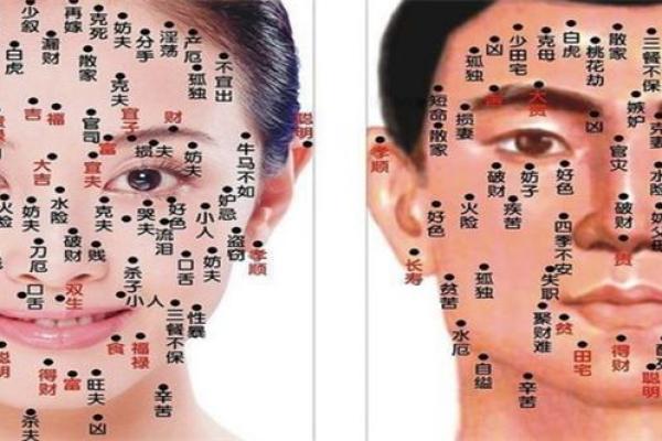 解读女人全身痣相：如何从痣的分布看人生运势