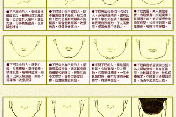 探索面相学：如何通过面部特征分析人的性格和未来
