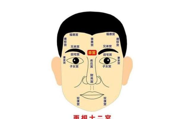探索面相学：如何通过面部特征分析人的性格和未来