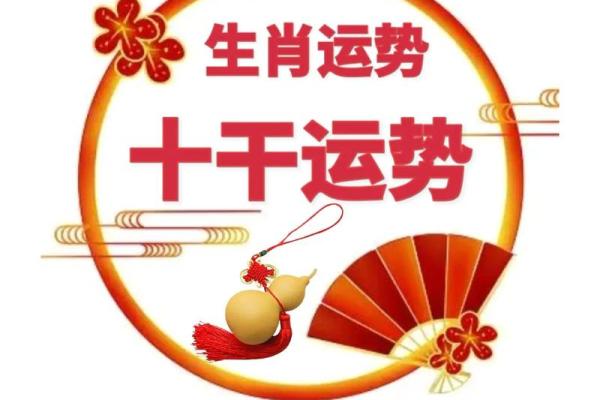 属相相冲与事业中的挑战与机遇