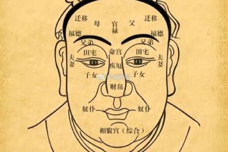 面相学入门：通过观察面部特征解读个性与运势