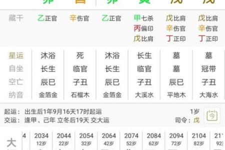 辛五行属性解析与其在命理中的重要性