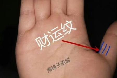 金钱纹手相揭秘：从手掌看财富与运势的奥秘