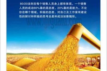 子公司起名的成功法则：简洁、独特与易记