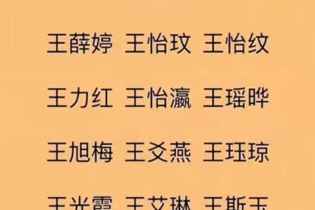 王姓宝宝起名参考：经典与创新结合
