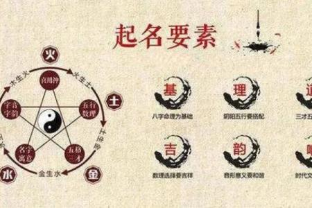 姚晨命理分析：如何从八字看她的未来走向