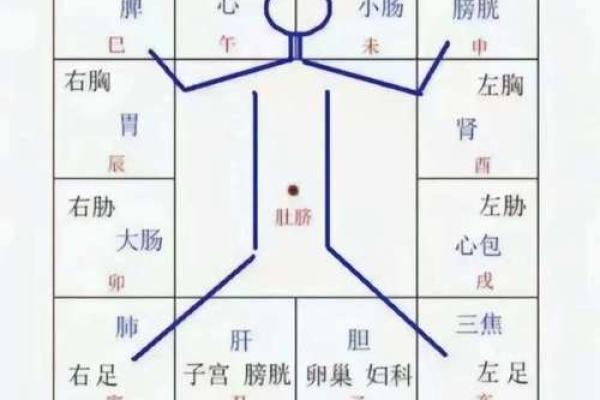 天干坐地支在八字命理中的重要性