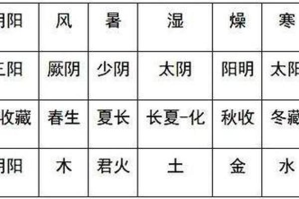 从五行视角看音乐与人体能量的相互作用