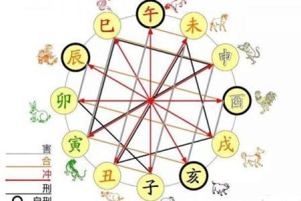女羊男狗婚姻配对分析：命理中的相合与挑战