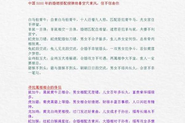 女羊男狗婚姻配对分析：命理中的相合与挑战