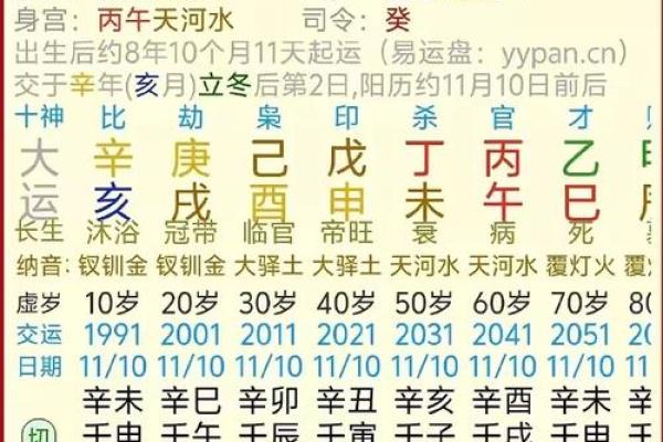 出生属什么命，命运运势如何