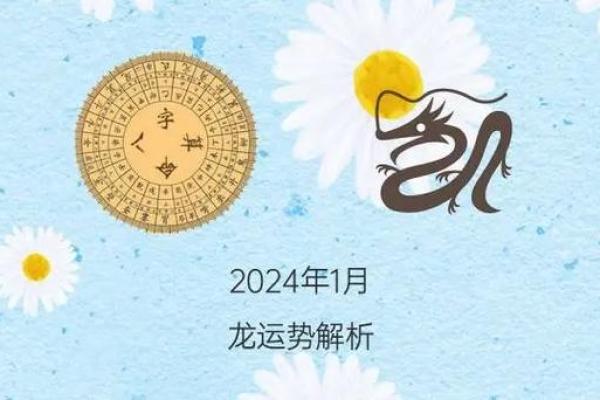 出生属什么命，命运运势如何