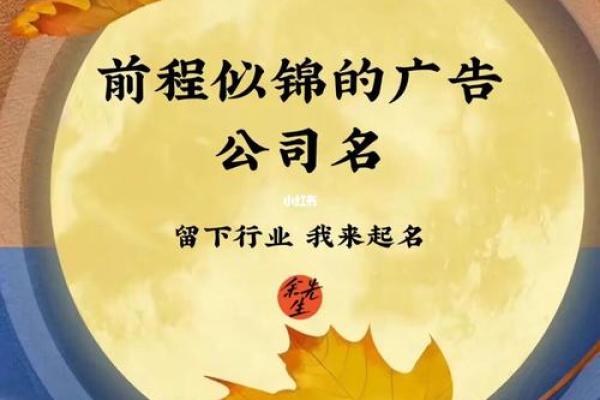 泰起名公司帮助您突破名字困扰，开创未来新篇章