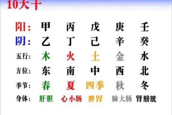 探索天干与五行之间的密切关系
