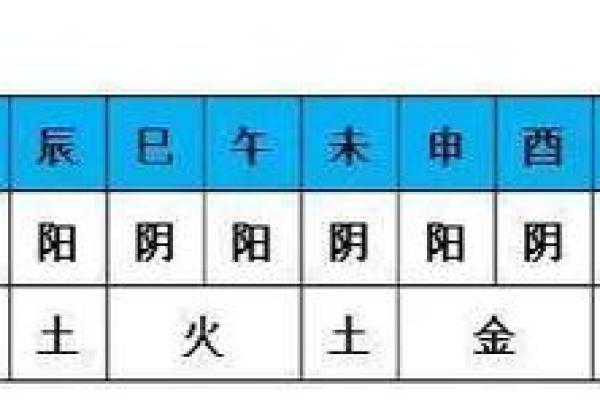 十二地支五行属性解析：探索每个地支背后的五行能量