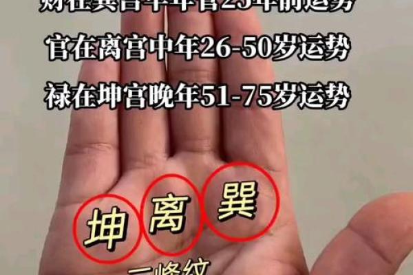手相揭示职场运势与职业发展潜力
