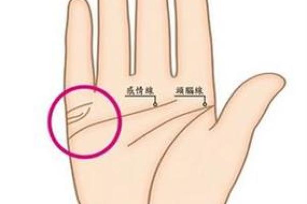 夫妻年龄相差，命理如何解读婚姻成功率
