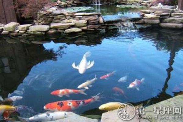 如何利用水元素提升家居风水和运势