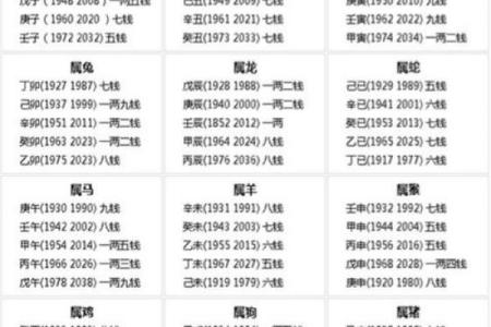 如何通过八字重量分析命运的潜力与挑战