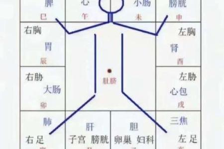 天干坐地支在八字命理中的重要性