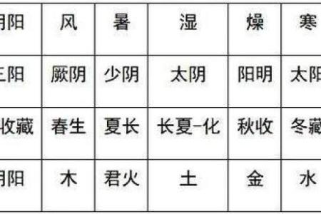 从五行视角看音乐与人体能量的相互作用