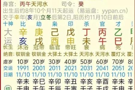 出生属什么命，命运运势如何