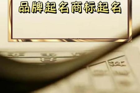 泰起名公司帮助您突破名字困扰，开创未来新篇章