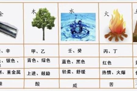 十二地支五行属性解析：探索每个地支背后的五行能量