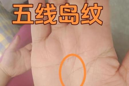 手相中椭圆形线纹的象征意义与解析