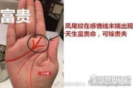 “是贵命”究竟是什么意思？探寻这句俗语的来源