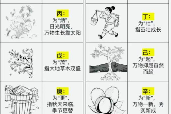 探秘今天的天干地支日期与含义