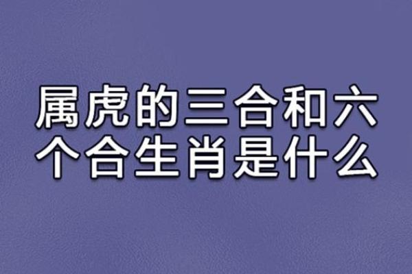 女虎与男鼠的婚姻：两种性格的融合还是摩擦？