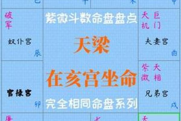 如何通过在线紫薇排盘了解个人命运与运势