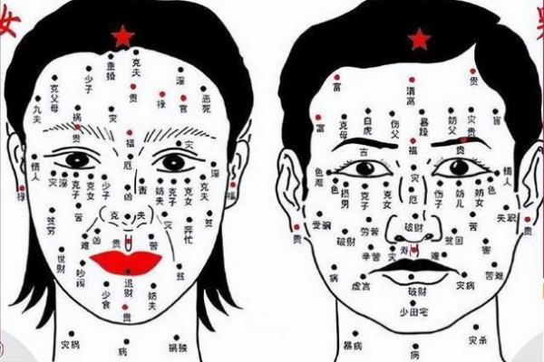 如何通过面部痣的位置分析性格与运势