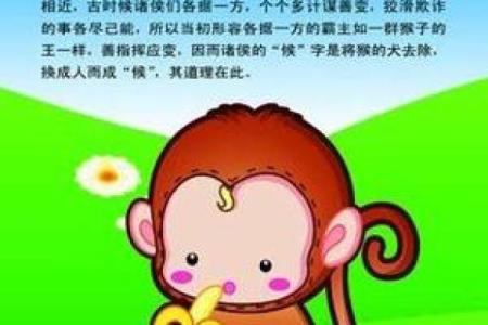 属猴人的命运与运势解析