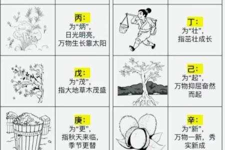探秘今天的天干地支日期与含义