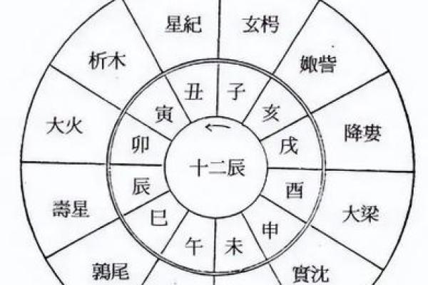 如何理解偏财在地支与天干中的不同含义