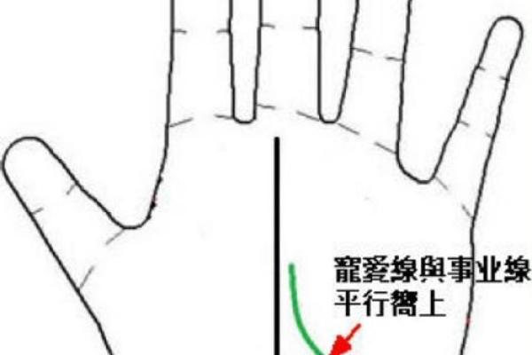 手相红点的不同位置与对应的命运解析