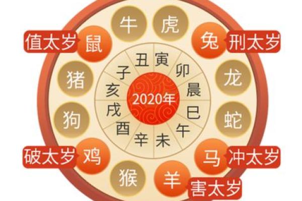 出生的人属什么命 解析命理特点与运势