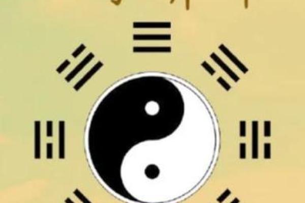 姚晨八字揭秘：命理中的成功与挑战