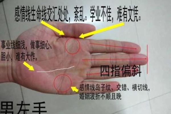 通过手相解析事业运势，找到成功的方向