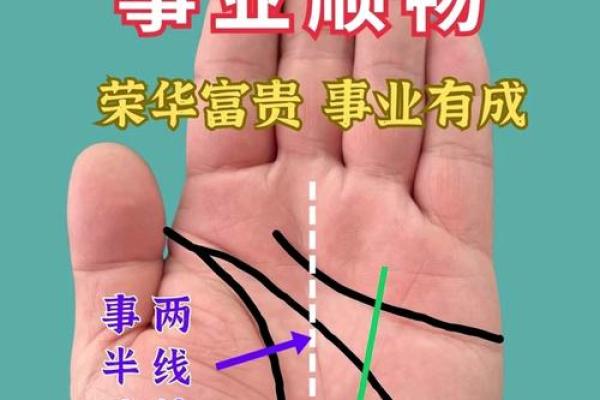 通过手相解析事业运势，找到成功的方向