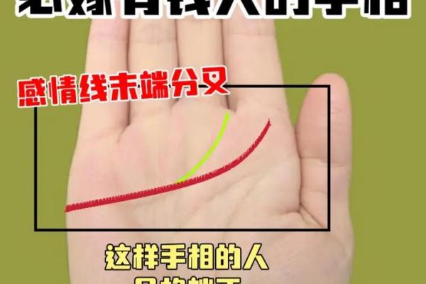 手相与性格分析：你的掌纹透露了哪些秘密