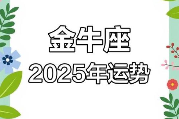 金牛座明日运势：关注财运与人际关系