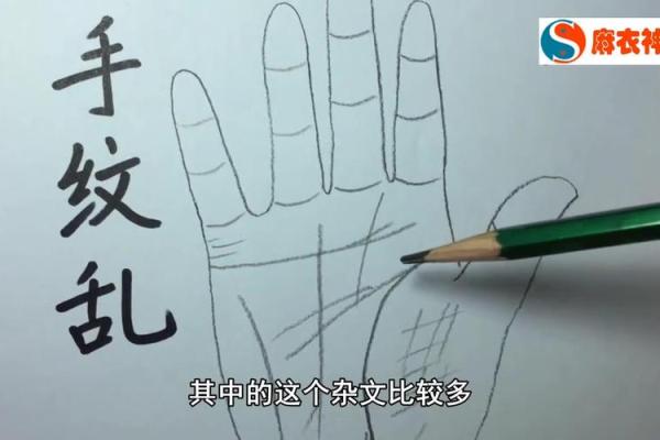 手相科技：看手相机器如何改变未来命运预测