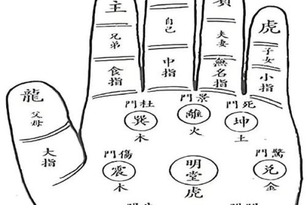 手相科技：看手相机器如何改变未来命运预测