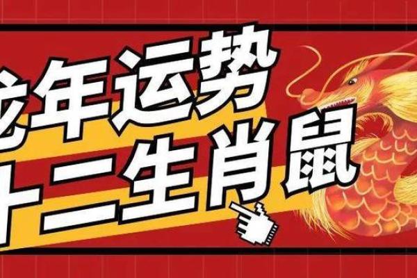 十二生肖每月运势指南：掌握每月运程，提前布局
