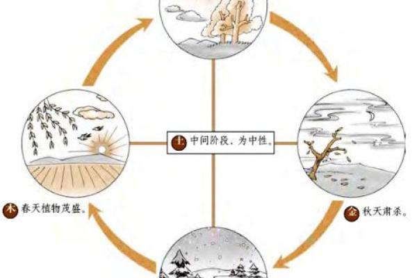 五行金的特点与影响力解析